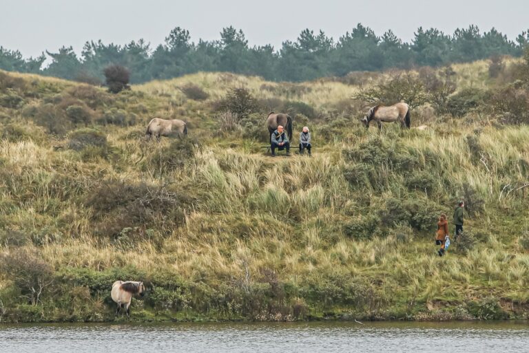 4 recreanten tussen koniks Monique van Middelkoop