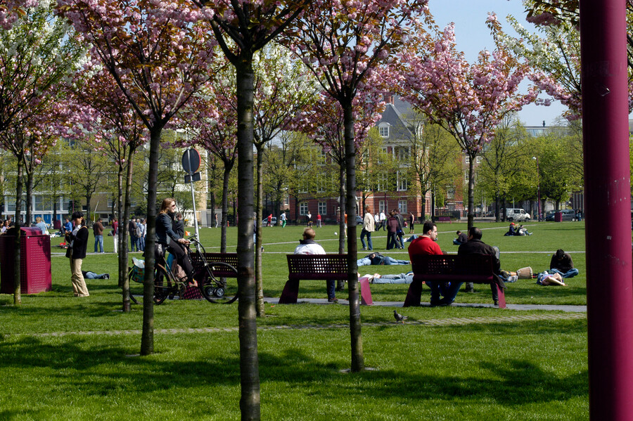 Asmterdam Museumplein