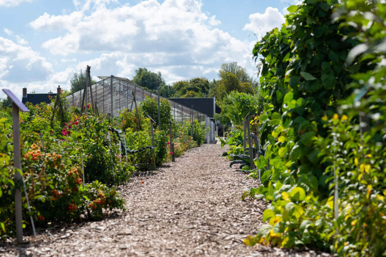 Rondleiding Historische Tuin Visit Aalsmeer tuin