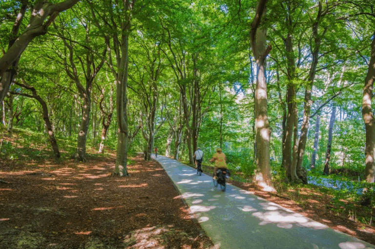 Bergerbos