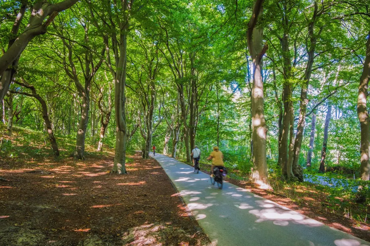 Bergerbos