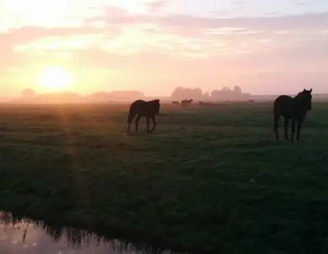 001940 913 schellinkhout westfriesland