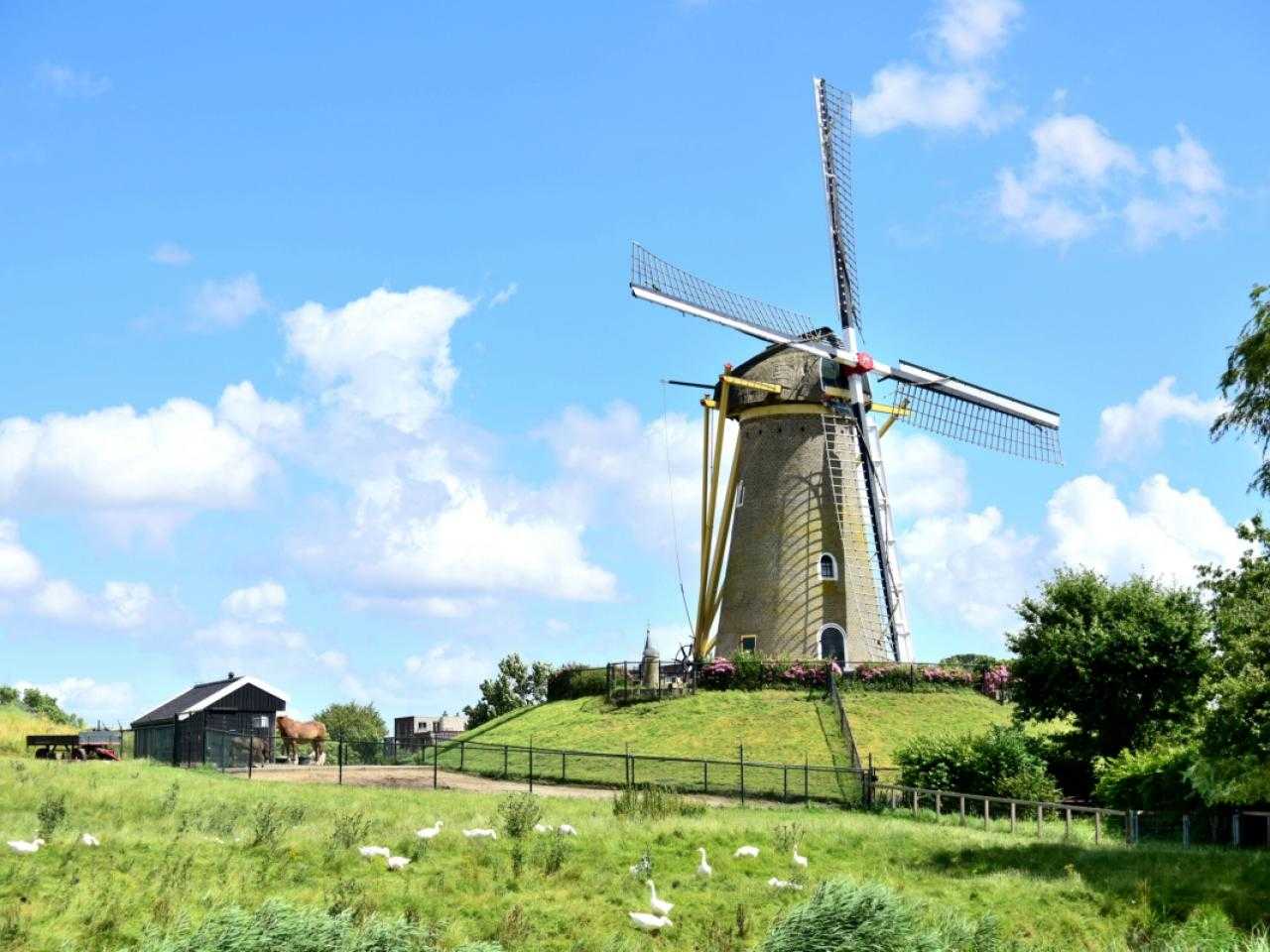 Gemeente Haarlemmermeer