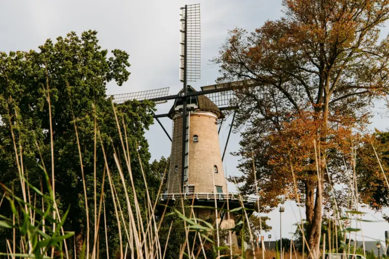 Molen van Piet Alkmaar