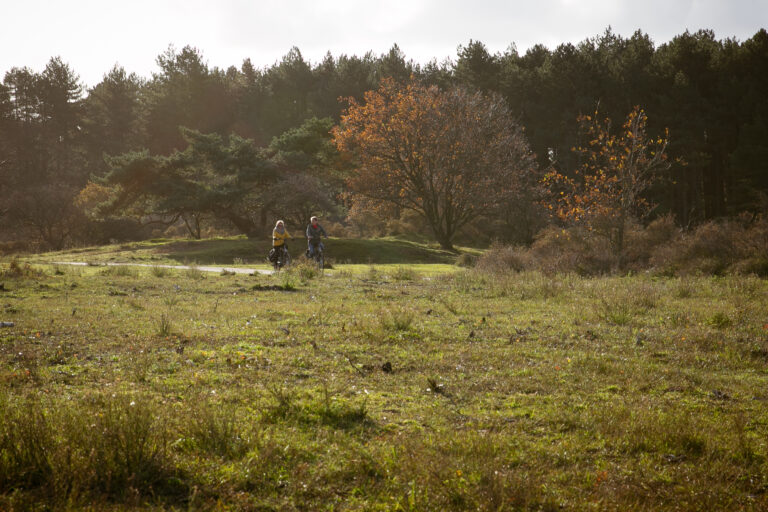 Fietsen en wandelen
