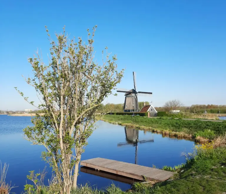 2 lisa geukens het twiske fotowedstrijd ode aan het laag hollandse landschap