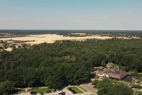 Luchtfoto bosch en duin juli