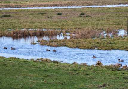 006467 2026 groengebied amstelland landjevangeijsel