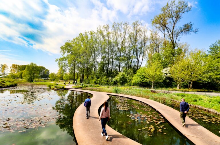 Het Haarlemmermeerse Bos