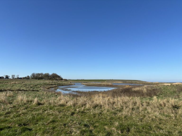 Natuurgezicht Opening Ziltepad Noord HollandIMG 1444 2 1024x768