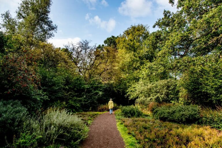 Heemparken