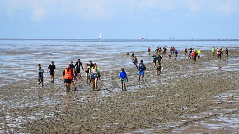 Het Wad